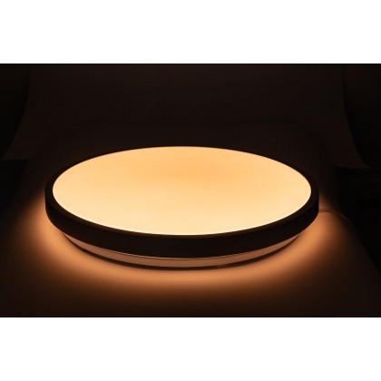 RING матовий 60W 395*60мм 3000К-6500К з ДК срібний