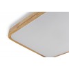 GLOW матовий 60W 391*391*65мм 3000К-6500К з ДК акація