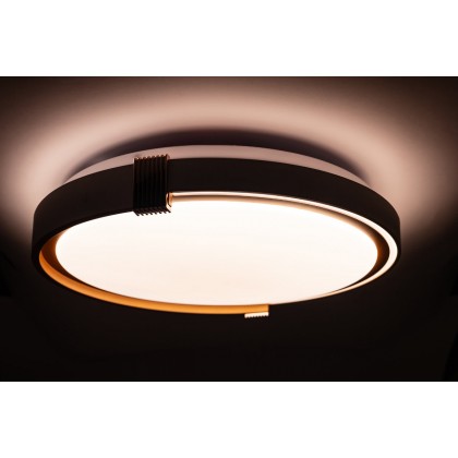 COLISEUM матовий 60W 395*60мм 3000К-6500К з ДК біле золото